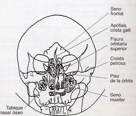 Caldwell Positioning